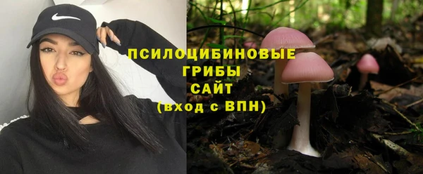 дживик Алексеевка