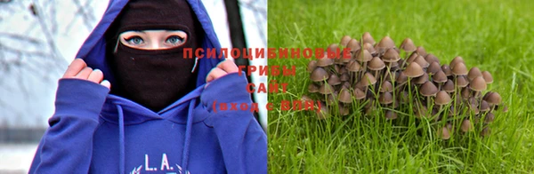 таблы Алзамай